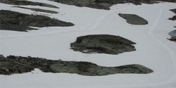 sognefjellet_status