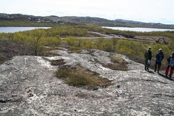 IMG_7396_250x167