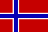 Norges flagg_100x67