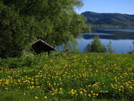 - Halvor Helland - Halvor Helland - Juni morgen ved E 39