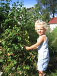 - Ingunn Tone Åtland - Ingunn Tone Åtland - strem 1