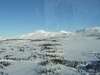 Skjækerlia