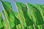 IGW 2009 - Fahnen Die Fahnen der Internationalen Grünen Woche Berlin 2009 werden noch bis zum 25.Januar auf dem Berliner Messegelände im Wind wehen.IGW 2009 - Flags Flags of the International Green Week Berlin 2009 on the Berlin Exhibition Grounds w