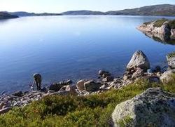 Vannforskriften Guro Sødergren Vannforskriften