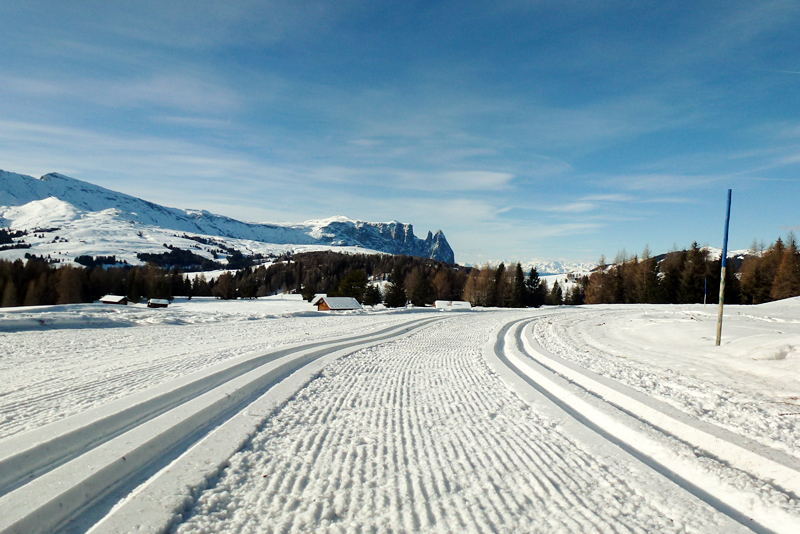 Det er populært å dra til høyden for å sanke treningstimer for langrennsløpere. Foto: Petter Soleng Skinstad / Team Sport 1 Skinstad. Det er populært å dra til høyden for å sanke treningstimer for langrennsløpere. Bildet er fra Seiser Alm. Foto: Petter Soleng Skinstad / Team Sport 1 Skinstad.