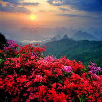 Kinesisk landskap
