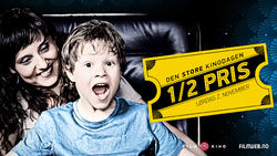 DSK2013 DSK2013