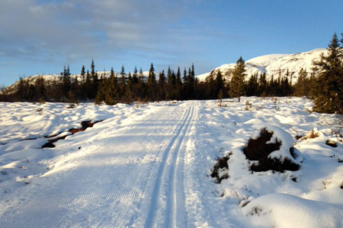 Norefjell og deler av den nye gruslagte traséen som sikrer tidlig sesongstart, fotografert i starten av november 2013. Foto: Bjørn Viker/Norefjell Skisenter. Norefjell og deler av den nye gruslagte traséen som sikrer tidlig sesongstart, fotografert i starten av november 2013. Foto: Bjørn Viker/Norefjell Skisenter.