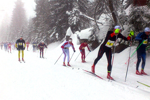 Vester-Gyllen 2014 er i full gang, og her er det eliteklassen som legger i vei i det 40 km lange og tradisjonsrike turrennet i Asker. Foto: Svein Granerud. Vester-Gyllen 2014 er i full gang, og her er det eliteklassen som legger i vei i det 40 km lange og tradisjonsrike turrennet i Asker. Foto: Svein Granerud.