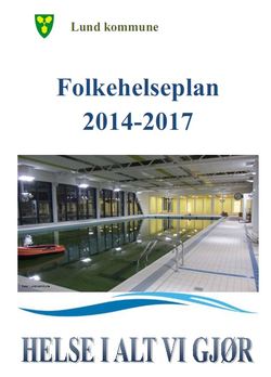 folkehelseplanforsida