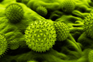 bs-pollen-illustration-7827439-300