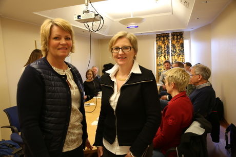 Sulitjelma - mineraler - ordfører og direktør Sulitjelma - mineraler - ordfører og direktør