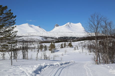 Valnesfjord - vinter Valnesfjord - vinter