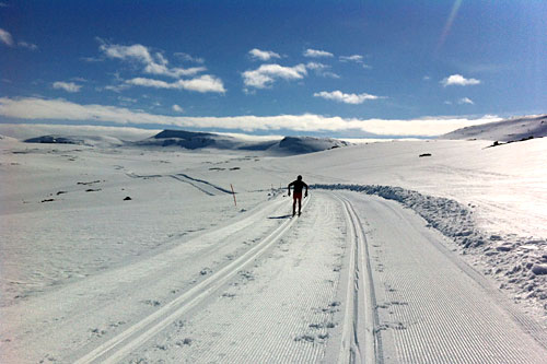 I forkant av Fossavatn Ski Marathon er det idylliske forhold på Island. Foto: Petter Soleng Skinstad. I forkant av Fossavatn Ski Marathon er det idylliske forhold på Island. Foto: Petter Soleng Skinstad.