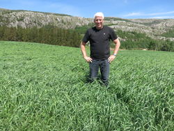 Tor Inge Moi inspiserer gras-produksjonen på Bjørnemo, Ualand. Tor Inge Moi inspiserer gras-produksjonen på Bjørnemo, Ualand.