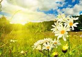 Sommer
