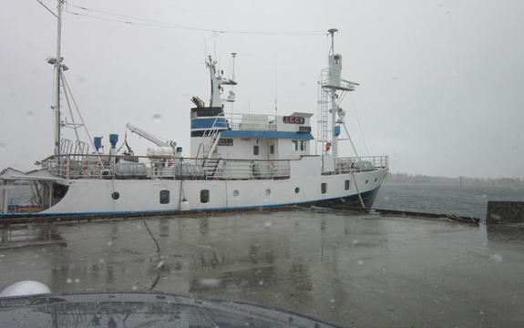 Båten Strønstad ved kai i Alsvåg
