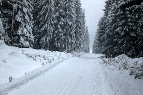 Vinteren har vært sendrektig flere steder i landet, slik som i Vestfold, men 15. januar 2015 ble en snørik dag. Foto: Montebellorennet. Vinteren har vært sendrektig flere steder i landet, slik som i Vestfold, men 15. januar 2015 ble en snørik dag. Foto: Montebellorennet.