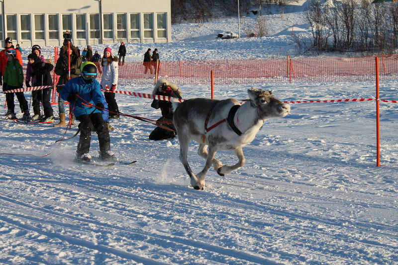 IMG_2772_1024x683