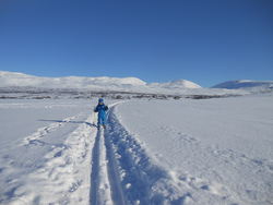 Skispor Skispor