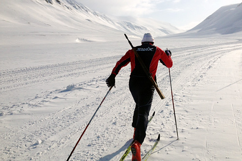 Terje Smevold fra Swix Racingservice på smøretest foran Svalbard Skimaraton 2015, med Mauser på ryggen. Foto: Swix. Terje Smevold fra Swix Racingservice på smøretest foran Svalbard Skimaraton 2015, med Mauser på ryggen. Foto: Swix.