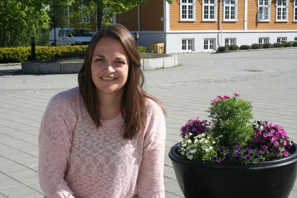 Søkolog Søkolog