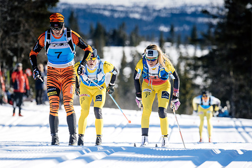 Petter Eliassen (f.v.), Martin Johnsrud Sundby og Therese Johaug i aksjon under Birken 2015. Foto: Magnus Östh/Swix Ski Classics. Petter Eliassen (f.v.), Martin Johnsrud Sundby og Therese Johaug i aksjon under Birken 2015. Foto: Magnus Östh/Swix Ski Classics.