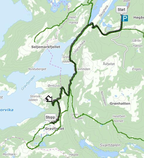Grønhatten