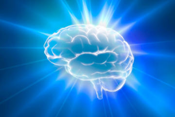 bs-brain-22377233-300