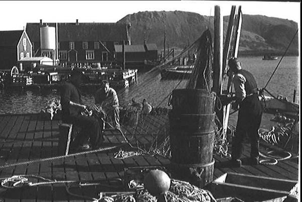Myre havn 1950