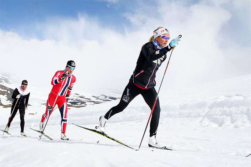 Trening på Sognefjellet. I front Therese Johaug, deretter Marit Bjørgen og Charlotte Kalla. Foto: Erik Borg. Trening på Sognefjellet. I front Therese Johaug, deretter Marit Bjørgen og Charlotte Kalla. Foto: Erik Borg.