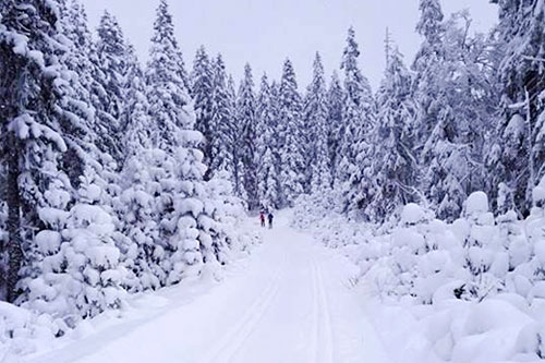 Slik ser det ut på Vestskogen i Sande noen få dager før starten for turrennet og hodelyktrennet Montebellonatta 2016. Foto: Montebellonatta og Montebellorennet. Slik ser det ut på Vestskogen i Sande noen få dager før starten for turrennet og hodelyktrennet Montebellonatta 2016. Foto: Montebellonatta og Montebellorennet.