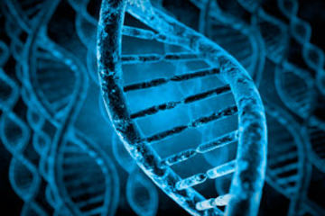 bs-DNA-Molecules-92814533-300