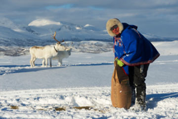 bs-UnidentifiedSaami--77522486-300