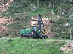 Skogshogst 1