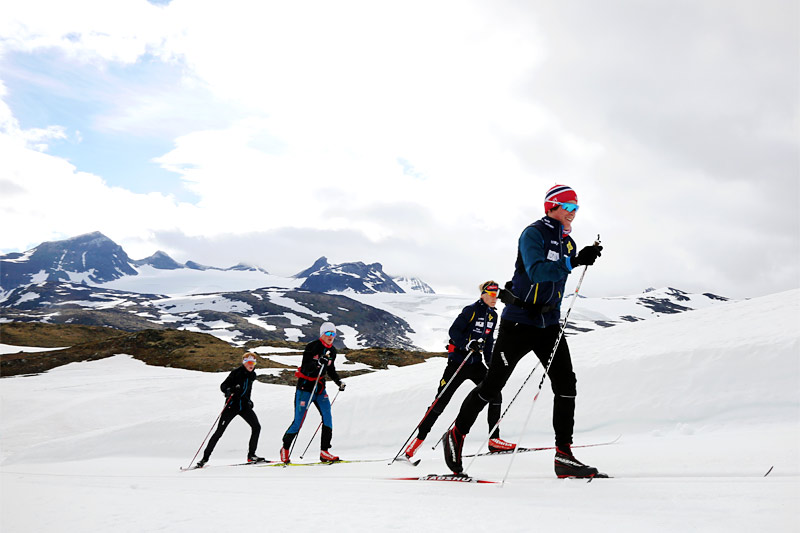 Deler av Bækkelagets stadig voksende gruppe av satsende ungdommer, juniorer og seniorer under deres samling på Sognefjellet. Foto: Eirik Lund Røer. Deler av Bækkelagets stadig voksende gruppe av satsende ungdommer, juniorer og seniorer under deres samling på Sognefjellet. Foto: Eirik Lund Røer.