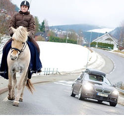 HEST