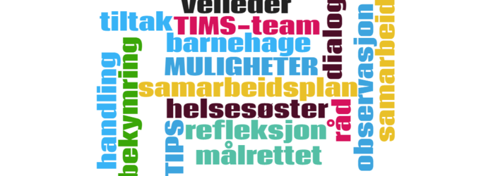 TIMS-Fauske