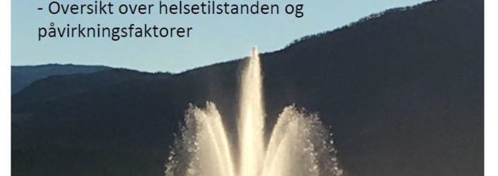 Oversiktsdokumentet utklipp Oversiktsdokumentet utklipp
