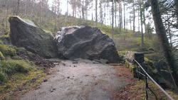 Tronåsen rolv 3