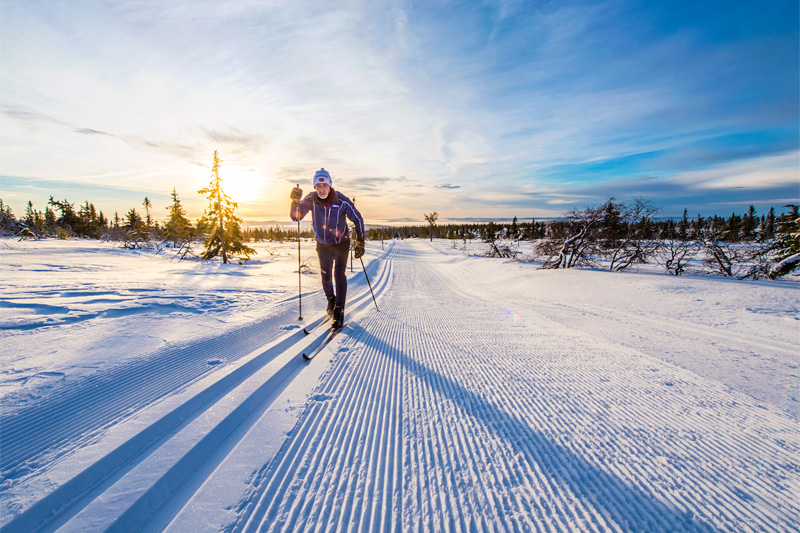 Trysil Skimaraton er et populært renn og de merker stor pågang i antall påmeldinger. Foto: Hans Martin Nysæter/Destinasjon Trysil. Trysil Skimaraton er et populært renn og de merker stor pågang i antall påmeldinger. Foto: Hans Martin Nysæter/Destinasjon Trysil.