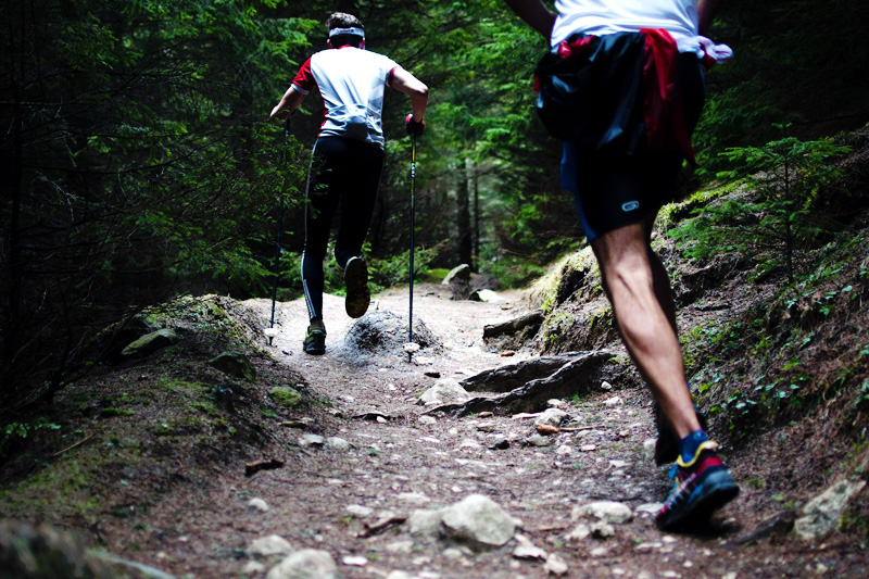 Lange rolige løpeturer i skog og fjell bygger grunnlag for å tåle de harde øktene. Foto: Creative Commons/Pixabay.com. Lange rolige løpeturer i skog og fjell bygger grunnlag for å tåle de harde øktene. Foto: Creative Commons/Pixabay.com.