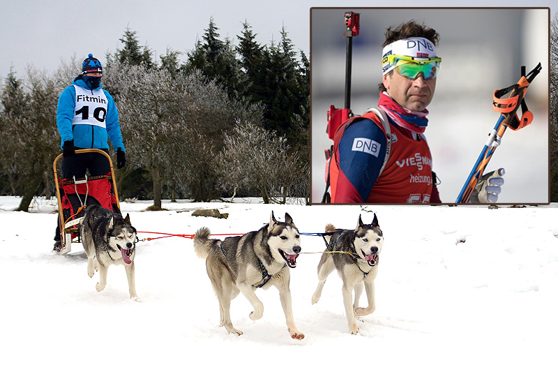 Ole Einar Bjørndalen er blant deltakerne i hundekjøringarrangementet Snørock på Sjusjøen. Collage: Langrenn.com. Foto: Creative Commons/Pixabay.com. Foto (innfelt): NordicFocus. Ole Einar Bjørndalen er blant deltakerne i hundekjøringarrangementet Snørock på Sjusjøen. Collage: Langrenn.com. Foto: Creative Commons/Pixabay.com. Foto (innfelt): NordicFocus.