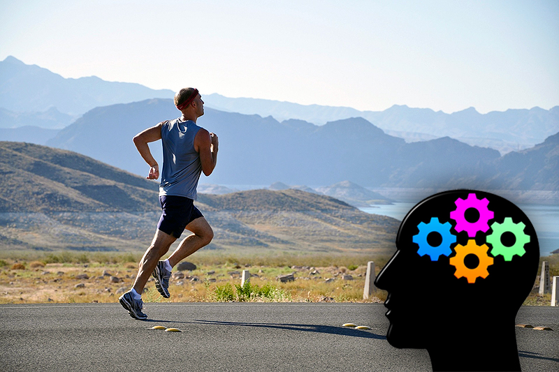 Forskere mener å kunne bevise at løping gjør jeg deg smartere og mer kreativ. Foto: Creative Commons/Pixabay.com. Forskere mener å kunne bevise at løping gjør jeg deg smartere og mer kreativ. Foto: Creative Commons/Pixabay.com.