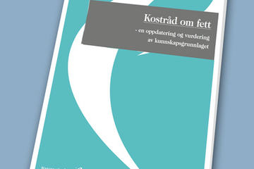 Kostraad-Fett400