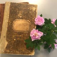 Roser og protokoller fra eldre tider