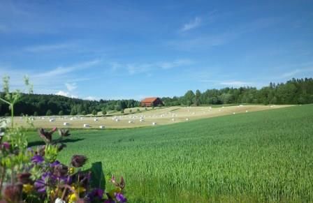 Sommer i Eidsberg, foto-Serena Cocco