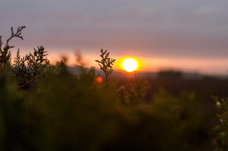 Om dagen, når vi er aktive brytes celler ned, mens om natten skal celler repareres. Disse systemene vil komme ut av rytme når man er oppe om natten. Foto: Creative Commons/Pixabay.com. Om dagen, når vi er aktive brytes celler ned, mens om natten skal celler repareres. Disse systemene vil komme ut av rytme når man er oppe om natten. Foto: Creative Commons/Pixabay.com.