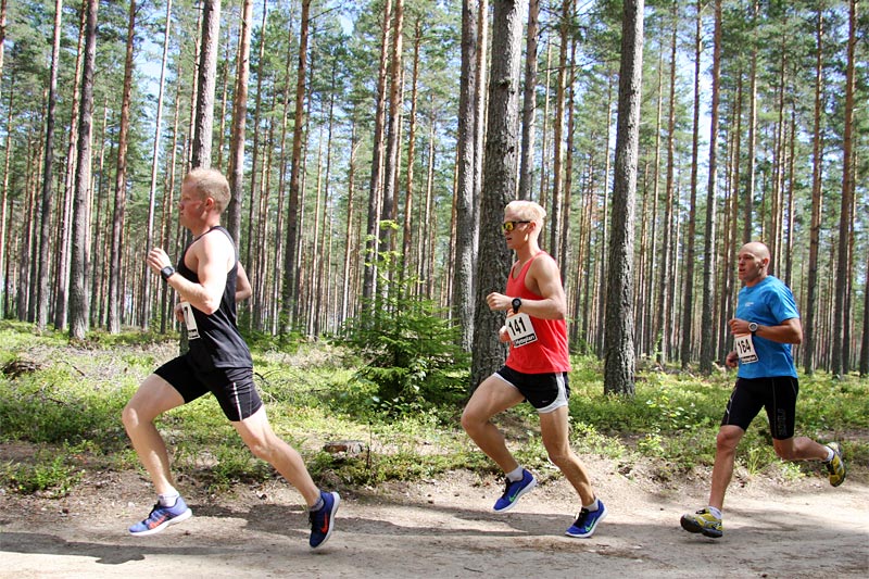Illustrasjonsbilde fra Hytteplantesten på Eggemoen ved Hønefoss i Ringerike. Foto: Geir Nilsen/Langrenn.com. Illustrasjonsbilde fra Hytteplantesten på Eggemoen ved Hønefoss i Ringerike. Foto: Geir Nilsen/Langrenn.com.
