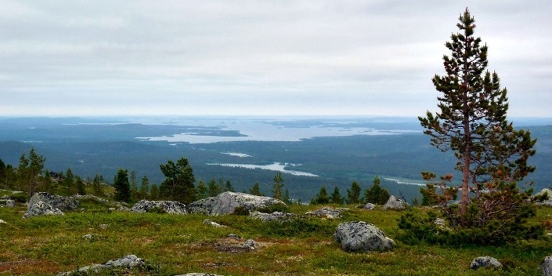 Visit-Inari-Otsamo-870x435-2_1000x500